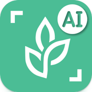 꽃이름 찾기 어플, 사진으로 꽃검색 앱, 왓캠